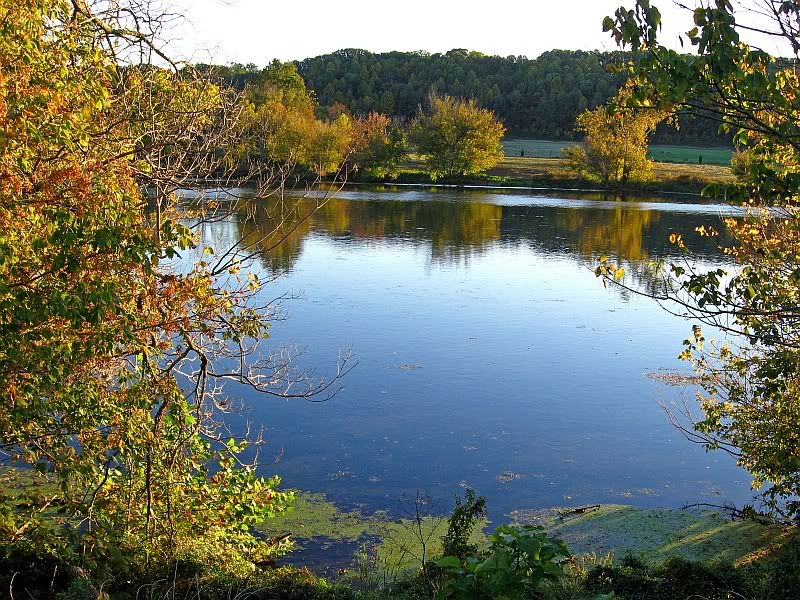 Rogersville & Surgoinsville photos... (live in, yard, area) Kingsport